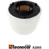 TECNOCAR Filter A2665