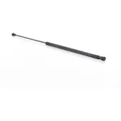 BSG 70-980-034 Gasfeder Heckklappendämpfer für CITROËN C1 (PM, PN) 555mm