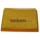 FRAM Luftfilter CA5627