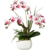 Creativ Green Kunstorchidee "Deko-Orchidee Phalaenopsis im Keramiktopf"
