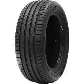 Roadhog 205/55R16 91V Rgs02