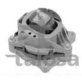 DYS Lagerung, Motor 71-03169