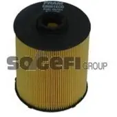 FRAM Kraftstofffilter C8981ECO