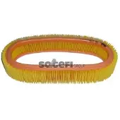 FRAM Luftfilter CA5309