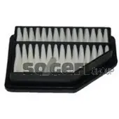 FRAM Luftfilter CA10412