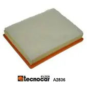 TECNOCAR Luftfilter A2836