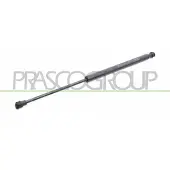 PRASCO Gasfeder, Koffer-/Laderaum TY3259055