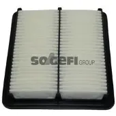 FRAM Luftfilter CA9525