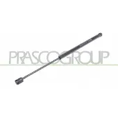 PRASCO Gasfeder, Koffer-/Laderaum CI3049055