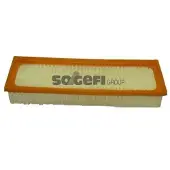 FRAM Luftfilter CA9314