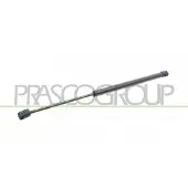 PRASCO MN3049055 Gasfeder Heckklappendämpfer für MINI Schrägheck (R50, R53) 495mm
