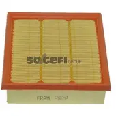 FRAM Luftfilter CA9943