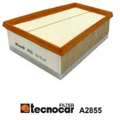 TECNOCAR Luftfilter A2855