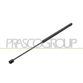 PRASCO Gasfeder, Koffer-/Laderaum FD4209055