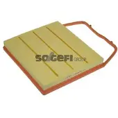 FRAM Luftfilter CA10676
