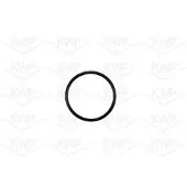 KWP Wasserpumpe 101047
