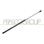 PRASCO Gasfeder, Koffer-/Laderaum CI0229055