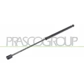 PRASCO Gasfeder, Koffer-/Laderaum FT1389055