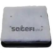 FRAM Luftfilter CA10355