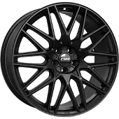CMS C25