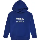 Tommy Hilfiger Waving Flag Kapuzenpullover