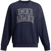 Under Armour Icon Heavyweight Terry Oversized Sweatshirt