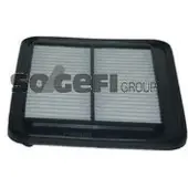 FRAM Luftfilter CA10630