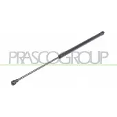 PRASCO Gasfeder, Koffer-/Laderaum ST4229055