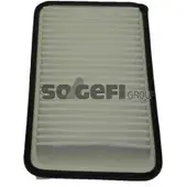 FRAM Luftfilter CA9849