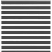 vidaXL Doppelrollo Schwarz 150x150 cm Stoffbreite 145,9 cm Polyester