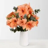 Pflanzen-Kölle Schnittblumen-Mix aus 5 lachsfarbenen Amaryllis & 5 Eukalyptus