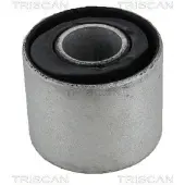TRISCAN Lagerung, Lenker 8500 23867