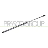 PRASCO Gasfeder, Koffer-/Laderaum OP0369055