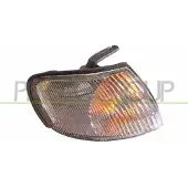 PRASCO Blinkleuchte DS4204013