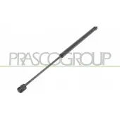 PRASCO Gasfeder, Koffer-/Laderaum OP0309055