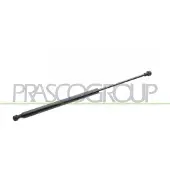 PRASCO Gasfeder, Koffer-/Laderaum FT0309055