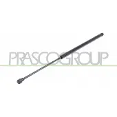 PRASCO Gasfeder, Koffer-/Laderaum DS7109055