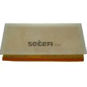 FRAM Luftfilter CA9424