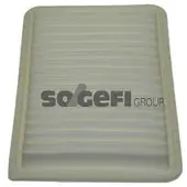 FRAM Luftfilter CA9894