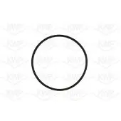 KWP Wasserpumpe 10960