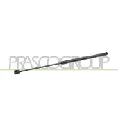 PRASCO Gasfeder, Koffer-/Laderaum FD4249055