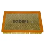 FRAM Luftfilter CA8817