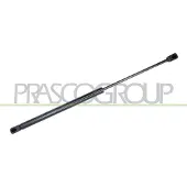 PRASCO Gasfeder, Koffer-/Laderaum FD4269055