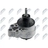 NTY Motorlager Hydrolager Vorne Rechts für FORD FOCUS (DAW, DBW) ZPS-FR-002