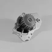 GK Wasserpumpe 986815