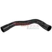 METZGER Ladeluftschlauch [Hersteller-Nr. 2400369] für Ford
