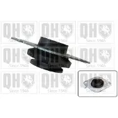 Quinton Hazell Motorlager Gummimetalllager für RENAULT ESPACE IV (JK0/1) EM4302