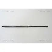 TRISCAN Gasfeder, Koffer-/Laderaum 8710 43217