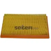 FRAM Luftfilter CA9415