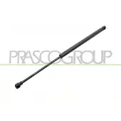 PRASCO Gasfeder, Koffer-/Laderaum AA2109055